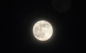 Relacionada img-20251105-wa0315.jpg