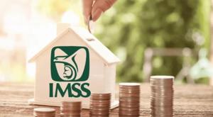 Relacionada imss.jpg