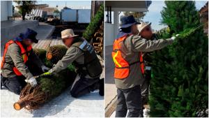 Relacionada fotojet-1.jpg