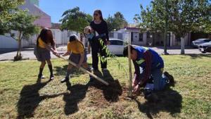 Relacionada img-20251106-wa00282.jpg