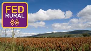 Relacionada fedrural.jpg