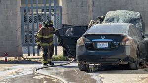 Relacionada inshot_20251106_130404820.jpg