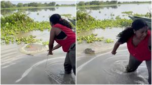 Relacionada whatsapp-image-2025-11-06-at-141723.jpg