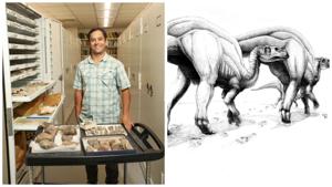 Relacionada bf439ff7-ab3c-4bdb-9dc2-756ae47e5682.jpg