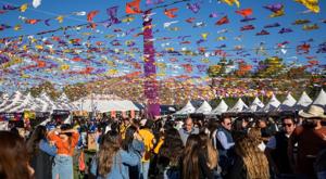 Relacionada principal_img-20241111-wa00192.jpg