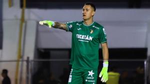 Relacionada screenshot-2025-11-06-201941-1.jpg