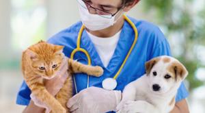 Relacionada veterinario.jpg