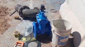 Relacionada principal_img_7097.jpg