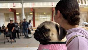 Relacionada whatsapp-image-2025-11-07-at-113840-am.jpg