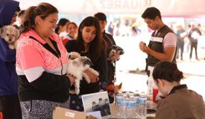 Relacionada whatsapp-image-2025-11-07-at-121147-pm.jpg