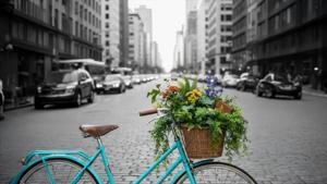 Relacionada bankaool.jpg