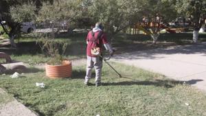 Relacionada 690e6ae7c02e2__690e6ae7c02e4.jpg