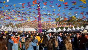 Relacionada principal_img-20241111-wa00192.jpg