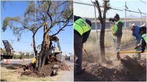 Relacionada fotojet-4.jpg