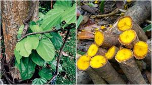 Relacionada fotojet-5.jpg