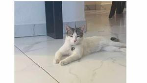 Relacionada 577651873_861218579588602_2884505306497075230_n.jpg