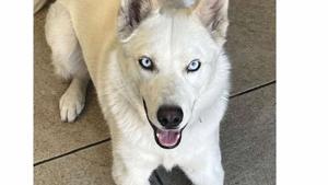 Relacionada 566582856_1835496417360168_2451367407555205947_n.jpg