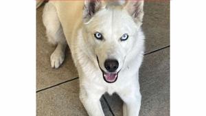 Relacionada whatsapp-image-2025-11-09-at-163018.jpg