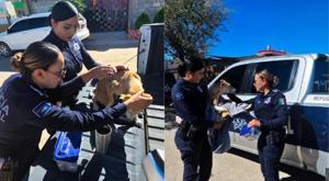 Relacionada descarga-82.jpg