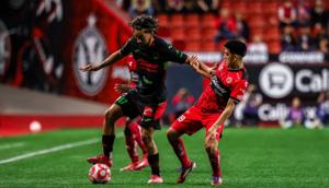 Relacionada whatsapp-image-2025-11-10-at-75955-am.jpg