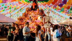 Relacionada img-20251110-wa00302.jpg