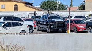 Relacionada pxl_20251110_1744583522.jpg