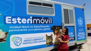 Relacionada img-20251110-wa01162.jpg