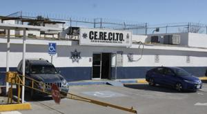 Relacionada principal_cerecito.jpg