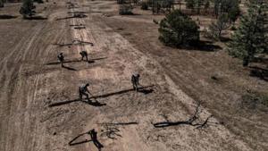 Relacionada 1000231860.jpg