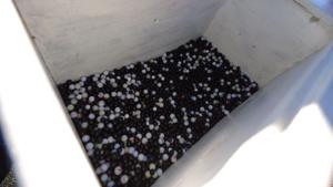 Relacionada 691238ec97dba__691238ec97dbb.jpg