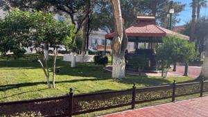 Relacionada whatsapp-image-2025-11-10-at-31649-pm.jpg