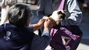 Relacionada 6912559c3d9d0__6912559c3d9d1.jpg