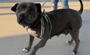 Relacionada 581174408_122169327764591972_7113505250750527484_n.jpg