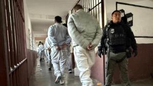 Relacionada inshot_20251111_123028204.jpg