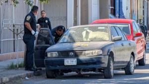 Relacionada inshot_20251111_132117996.jpg