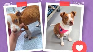 Relacionada whatsapp-image-2025-11-11-at-23500-pm1.jpg