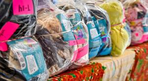 Relacionada principal_whatsapp-image-2023-12-11-at-115751.jpg