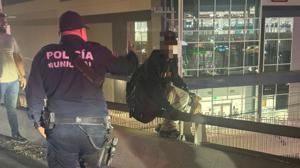 Relacionada whatsapp-image-2025-11-11-at-52740-pm.jpg