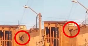 Relacionada whatsapp-image-2025-11-11-at-62503-pm.jpg