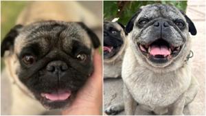 Relacionada fotojet-1.jpg