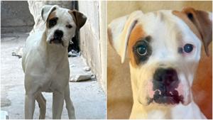 Relacionada fotojet-6.jpg