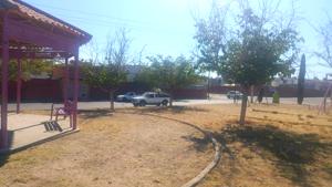 Relacionada whatsapp-image-2025-11-12-at-135720.jpg