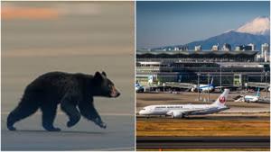 Relacionada fotojet-8.jpg