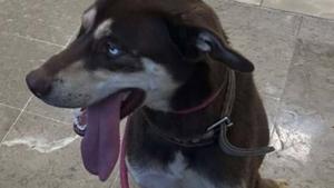 Relacionada 582194509_835975829122500_5303559922122137128_n.jpg