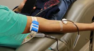 Relacionada principal_whatsapp-image-2023-11-24-at-122308-pm.jpg