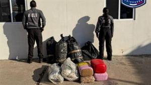 Relacionada 17869.jpg