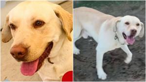 Relacionada fotojet-1.jpg