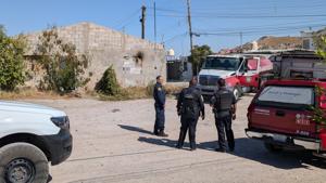 Relacionada inshot_20251113_133817155.jpg