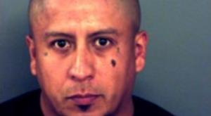 Relacionada 0f76c487-aa1b-490e-b65d-b187d6c04761.jpg