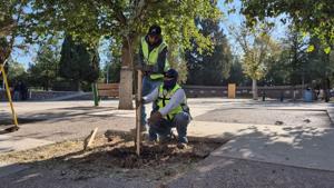 Relacionada whatsapp-image-2025-11-13-at-23757-pm.jpg